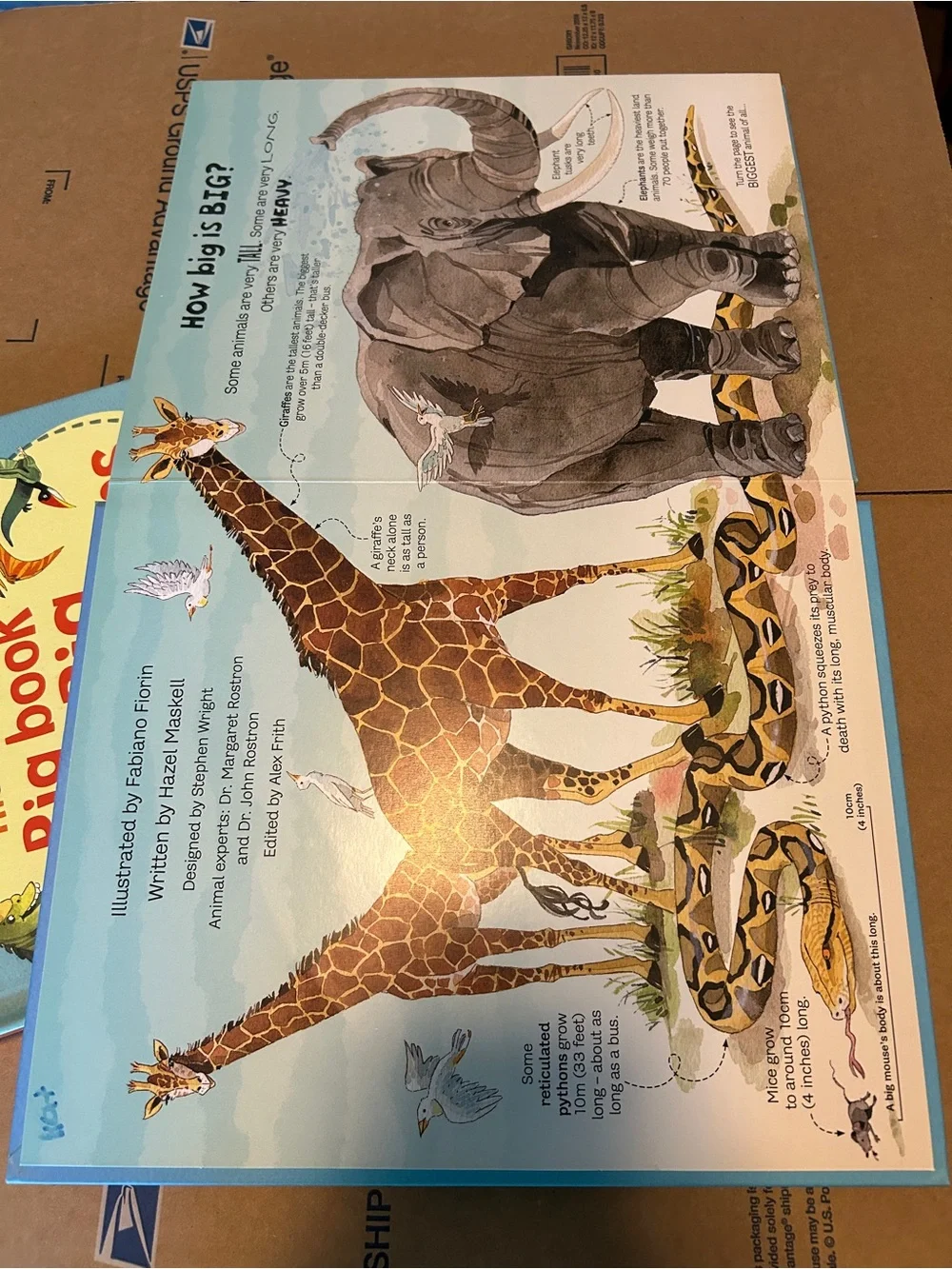 Usborne book of Big Animals and Big Dinosaurs